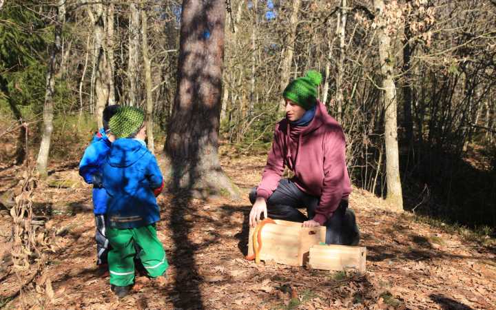 College for social pedagogy (one year) College for social pedagogy (one year)