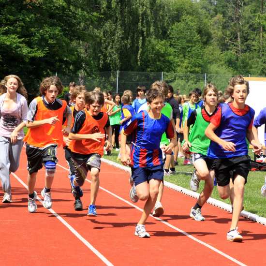 Das Jahr Sports grounds