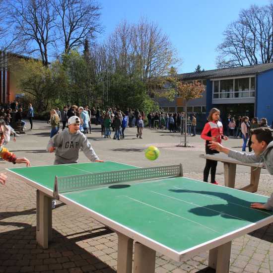 Das Jahr Schoolyards