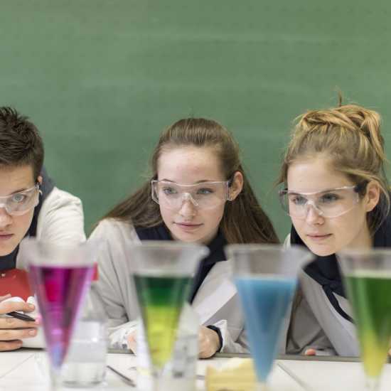 Das Jahr Physics, chemistry, biology